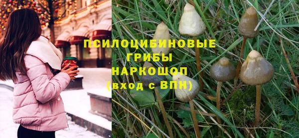синтетический гашиш Алексеевка