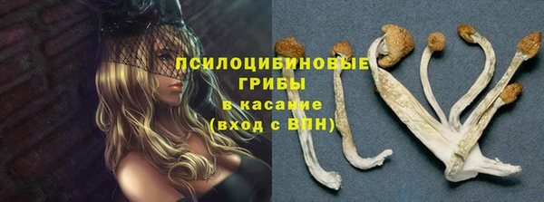 дживик Алзамай